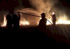 Kebakaran Lahan Makin Meluas, OKI Tetapkan Status Tanggap Darurat Bencana