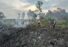 Ditreskrimsus Polda Sumsel Sebut Wilayah OKI dan Muba Paling Banyak Lahan yang Terbakar 
