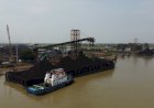 Prahara Debu Batubara RMK, Masa Depan Selat Punai yang Tergadai