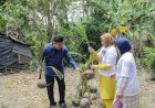 Wong Kito Ganjar Ajarkan Warga Desa Bakung Manfaat Berkebun Bagi Kesehatan Tubuh