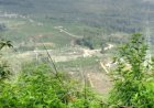 Terganjal Status Hutan Lindung, Jalan dan Jembatan Penghubung Kampung di Desa Segamit Tak Kunjung Dibangun