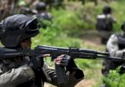 Sniper Satgas Damai Cartenz Tembak Mati Satu Anggota KKB dengan Jarak 800 Meter