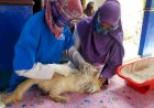 Pemkab Muba Gelar Vaksinasi Rabies Gratis, Catat Tanggal dan Lokasinya!