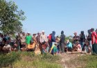 Lagi Asyik Mancing, Warga Banyuasin Diterkam Buaya Muara