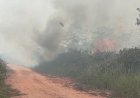 Lahan Gambut di Area Dekat Perkantoran Bupati Muratara Terbakar