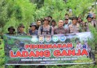 Tim Gabungan Musnahkan Ribuan Batang Ganja di Gayo Lues Aceh