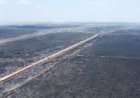 2.471 Hotspot Terdeteksi di Sumsel, Paling Banyak di OKI