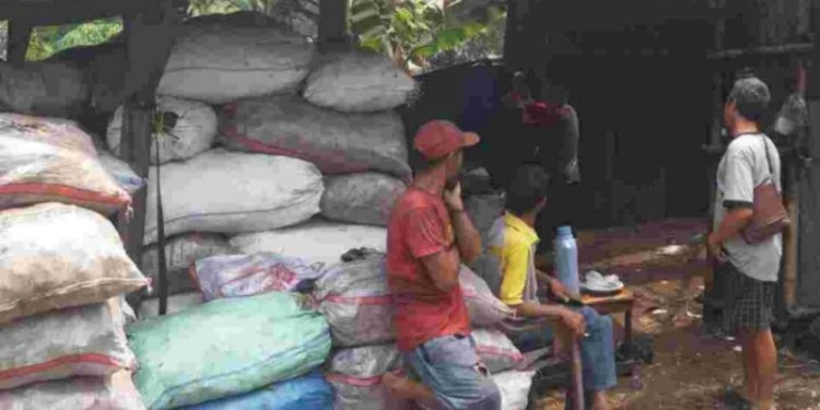Suku Dinas Lingkungan Hidup Jakarta Timur menutup sementara usaha pembakaran arang di Lubang Buaya, Cipayung/Ist