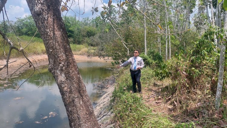 Lukasi kebun karet yang terkena air limbah milik PT Energi Tanjung Tiga Muara Enim. (ist/RMOLSumsel.id)