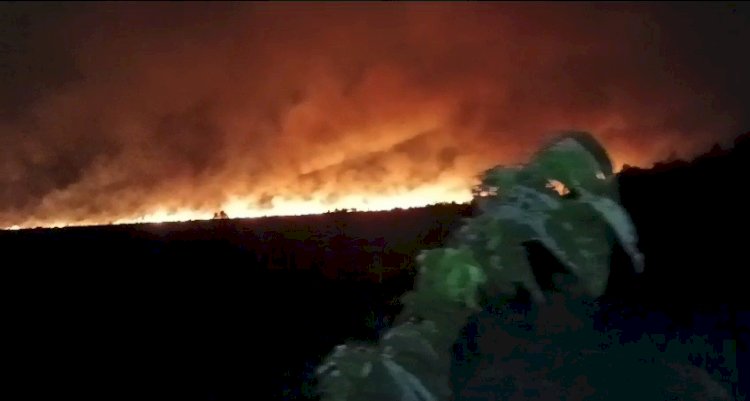 Kobaran api di kawasan Sepucuk Kabupaten OKI /ist