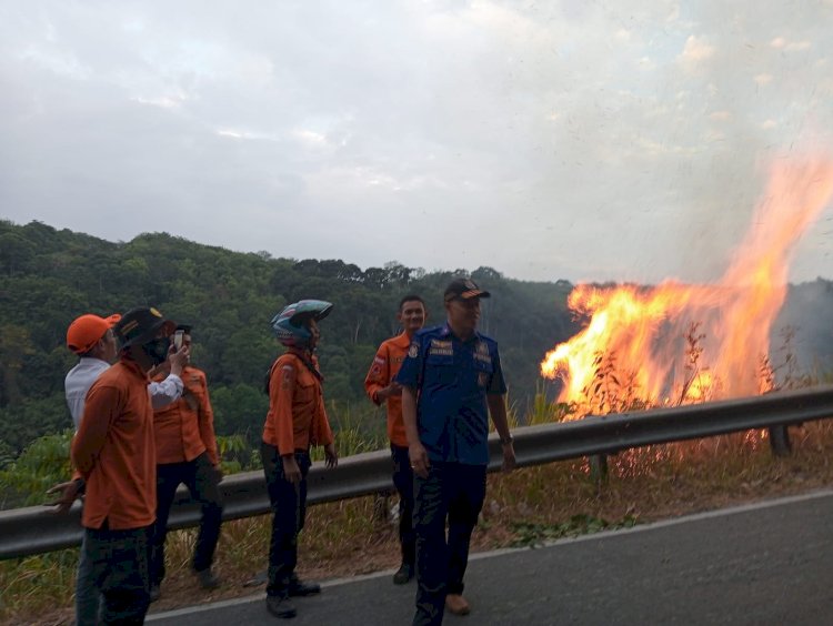 Kebakaran lahan di kawasan Liku Endikat Pagaralam/Foto:Taufik