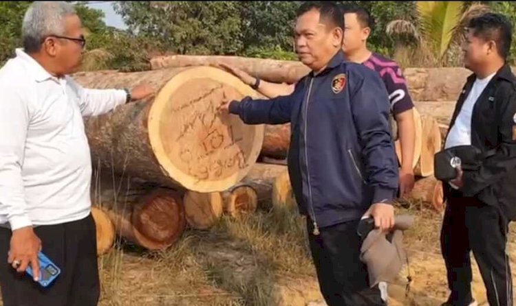 Polisi menyita ratusan batang kayu log dari Pembalakan liar di Muba/ist