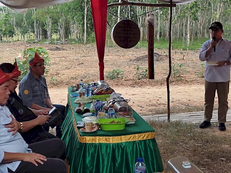 Kegiatan peresmian lahan sawah baru di Desa Langkan Kecamatan Banyuasin III. (ist/rmolsumsel.id) 
