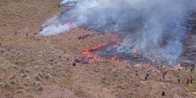 Kebakaran Blok Savana Watangan atau area Bukit Teletubbies di Taman Nasional Bromo Tengger Semeru (TNBTS), Jawa Timur/Net