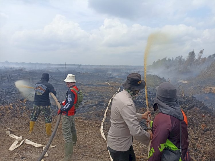 Petugas gabungan melakukan pemadaman api di lahan konsesi Sumatera Agro Mandiri (SAM). (ist/rmolsumsel.id) 