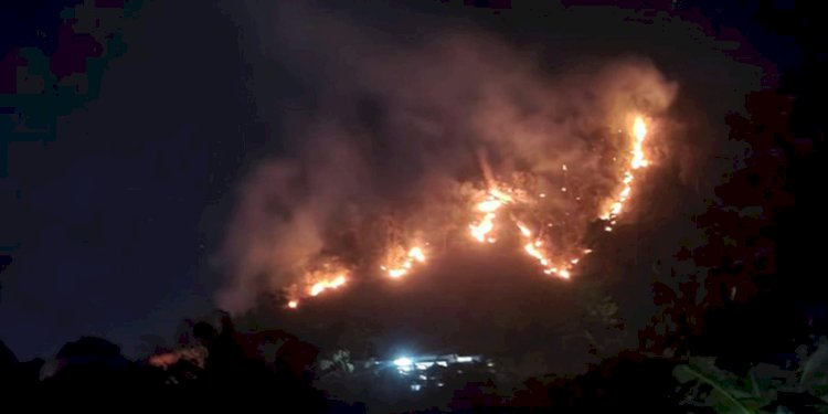 Kebakaran di Gunung Jayanti/ist