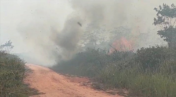 Kebakaran lahan gambut di Muratara menjalar ke area dekat perkantoran bupati/ist