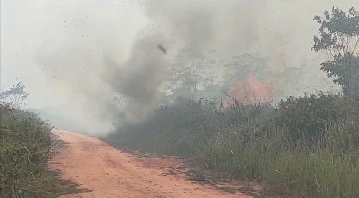 Kebakaran lahan gambut di Muratara menjalar ke area dekat perkantoran bupati/ist