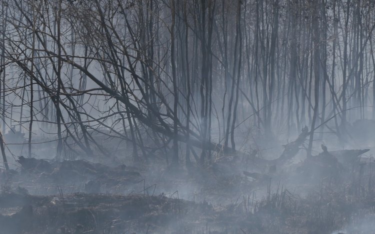 Kebakaran lahan di OKI/Foto:RMOL
