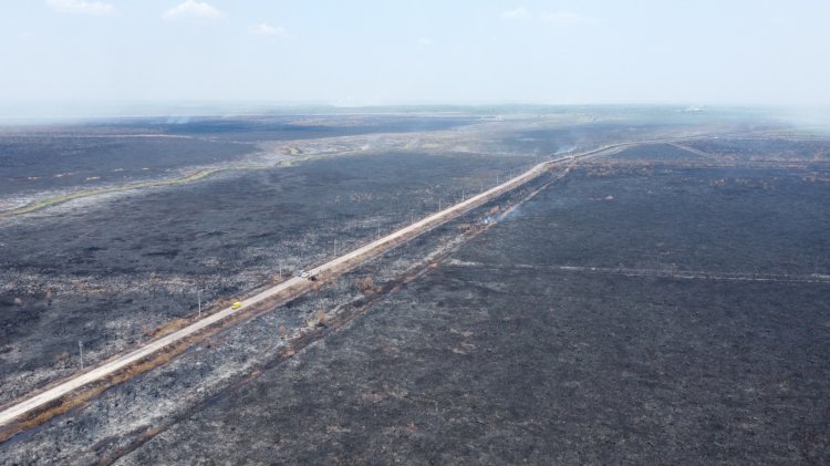 Kebakaran lahan gambut di wilayah Ogan Komering Ilir (OKI) /Foto: RMOL