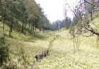 Hindari Terbakar Lagi, Pendakian Gunung Lawu Ditutup
