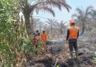 Sudah Sepekan Lahan Gambut Terbakar, Petugas Pemadam di Musi Rawas Mulai Kewalahan