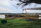 Kelola Jalan Khusus, Stockpile dan Pelabuhan, Servo Lintas Raya Tak Kantongi Izin Resmi? 