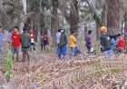 Sengketa Plasma Kembali Memanas, Warga Sungai Sodong dan PT SWA Saling Tuding 