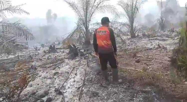 Kebakaran hutan dan lahan di Kabupaten Musi Rawas menyisakan abu dan asap.(Ist/RMOLSumsel.id)