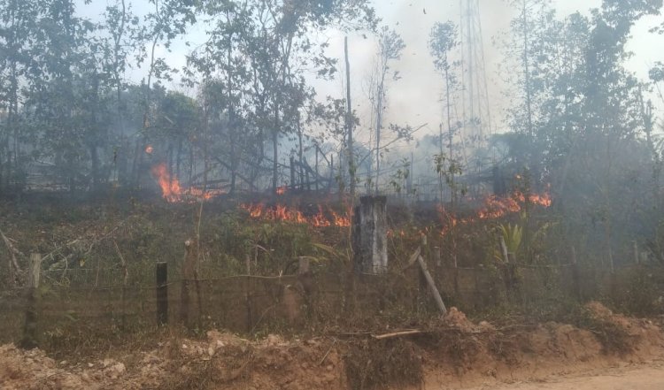 Lahan yang sengaja dibakar oleh tersangka/ist