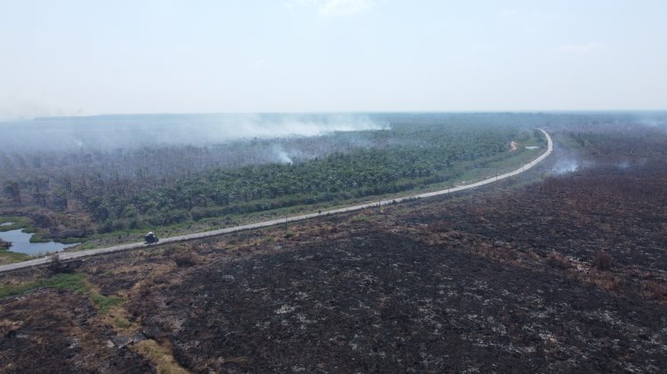 Gambar udara kondisi kebakaran hutan dan lahan yang berlangsung di Desa Sepucuk, Kecamatan Kayuagung, Sumsel. (dok. RMOLSumsel.id)