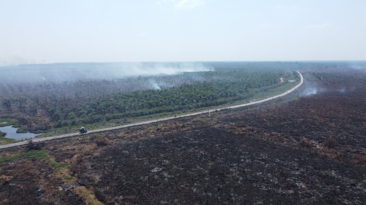 Karhutla yang terjadi di kawasan Desa Sepucuk, Kabupaten OKI. (dok/rmolsumsel.id)