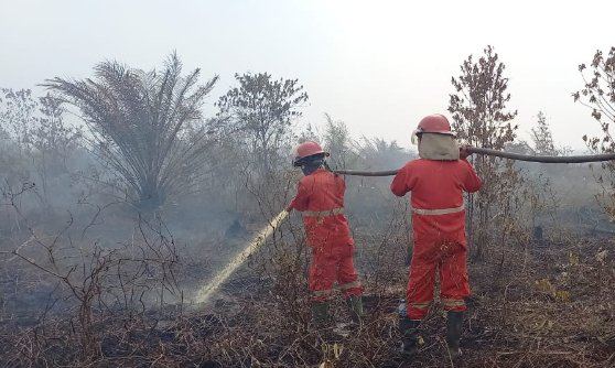 Petugas Manggala Agni berjibaku melakukan pemadaman karhutla di wilayah OKI. (ist/rmolsumsel.id)