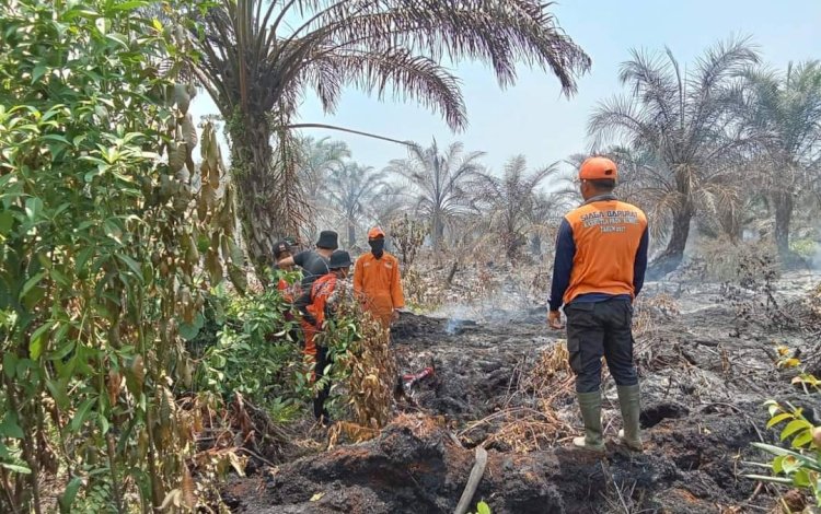 Petugas terus berjibaku memadamkan api yang membakar laham gambut di Desa Pagar Ayu, Kecamatan Megang Sakti, Kabupaten Musi Rawas. (ist/RMOLSumsel.id)