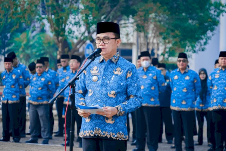 Pj Bupati Banyuasin Hani Syopiar Rustam (ist/rmolsumsel.id)