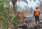 Luas Lahan Terbakar Akibat Karhutla di Musi Rawas Capai Ratusan Hektar, Tersebar di 13 Kecamatan