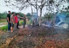 Berteduh di Pondok Saat Hujan, Seorang Petani di Muara Enim Tewas Usai Terdengar Suara Petir