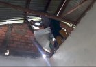 Gempar, Warga Lematang Temukan Ular Sanca sepanjang 6 Meter di Loteng Rumah