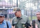 Harimau Sumatera Terdeteksi di TNKS Musi Rawas dan Muratara
