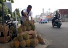 Manisnya Omset Pedagang Durian di Lubuklinggau, Sehari Bisa Laku 30 Buah