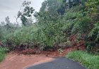 Diguyur Hujan Deras, Jalan di Semendo Tertimbun Longsor