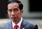 Jokowi Akui Belum Ada Realisasi Investasi Asing di IKN Nusantara