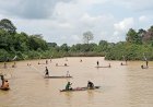 Lomba Njale Rambang di Danau Pulun Lestari Meriahkan Hari Jadi Kabupaten Muara Enim
