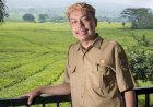 BKN Tak Temukan Pelanggaran, Syamsul Bahri Berharap Pemecatannya Sebagai Sekda Pagar Alam Dianulir