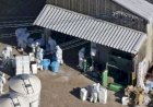 Cegah Flu Burung, Jepang Musnahkan 40 Ribu Ekor Unggas