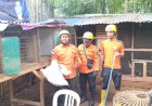 Musim Ular Bertelur, Warga Lubuklinggau Diminta Waspada