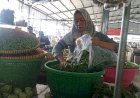 Pengaruh Musim Hujan, Harga Cabai di Muara Enim Melonjak