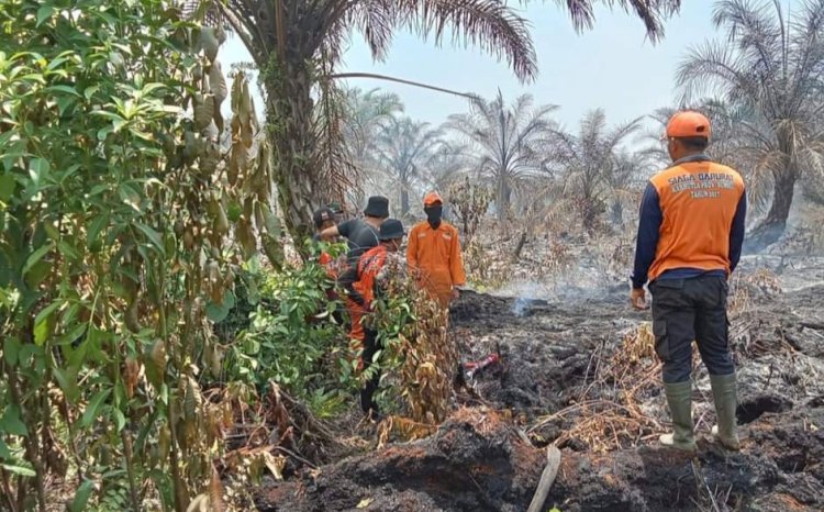 Petugas BPBD Musi Rawas tengah melakukan pemadaman karhutla yang terjadi beberapa waktu lalu/ist