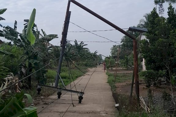 Belasan tiang listrik di desa Sungai Semut Banyuasin roboh/ist