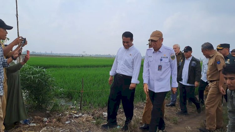 Menteri Pertanian Republik Indonesia (Mentan RI) Andi Amran Sulaiman saat mengunjungi lahan pertanian di Ogan Komering Ilir/ist